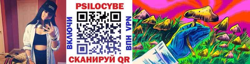 omg вход  Мелеуз  Псилоцибиновые грибы Psilocybe  купить  